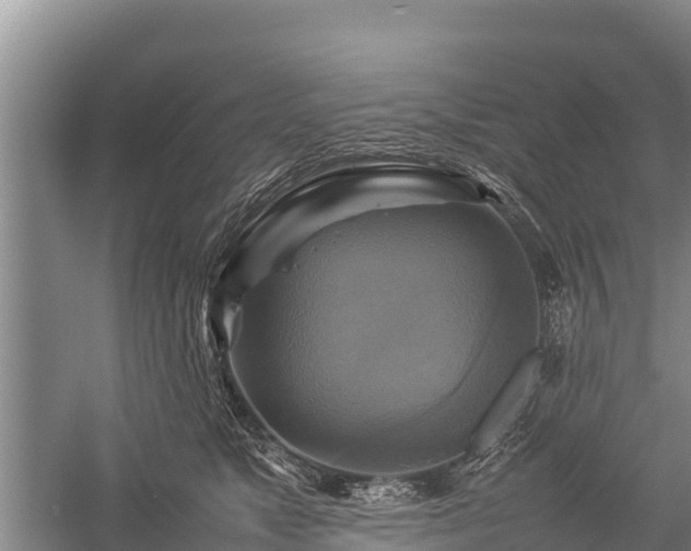 X0000059230517200510211539