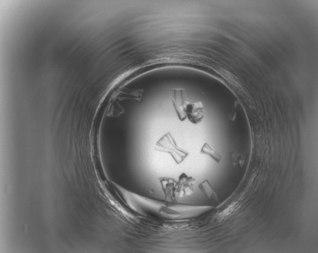 X0000059230846200510211534