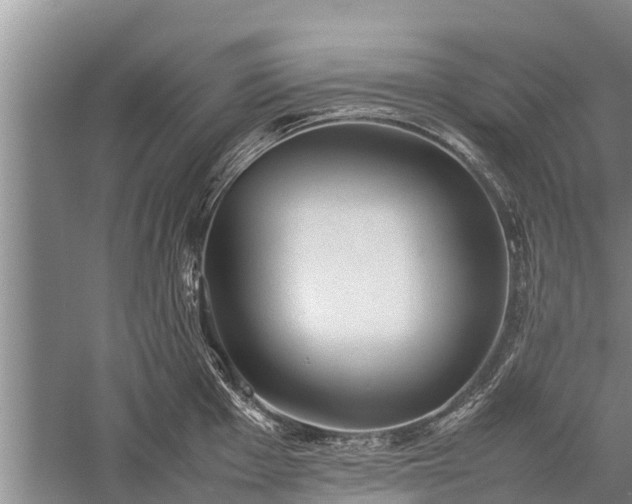 X0000059231001200510211531