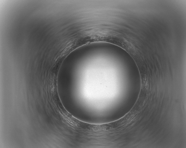 X0000059231012200510211530