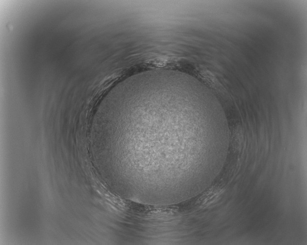 X0000059231105200510211528