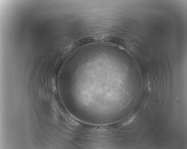 X0000059231106200510211528