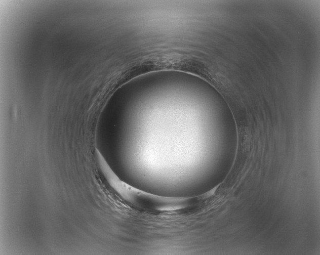 X0000059231153200510211528