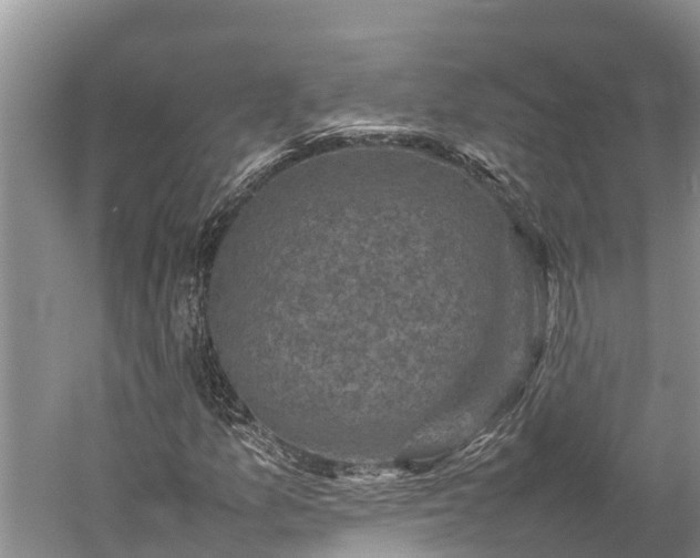 X0000059231157200510211528