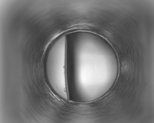 X0000059231164200510211528