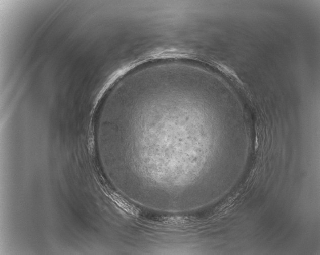 X0000059231167200510211528