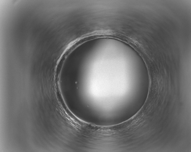 X0000059231168200510211528