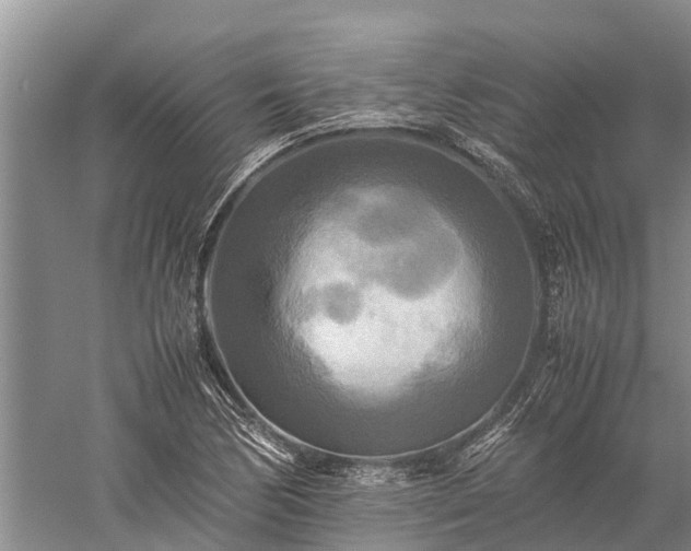 X0000059231170200510211528