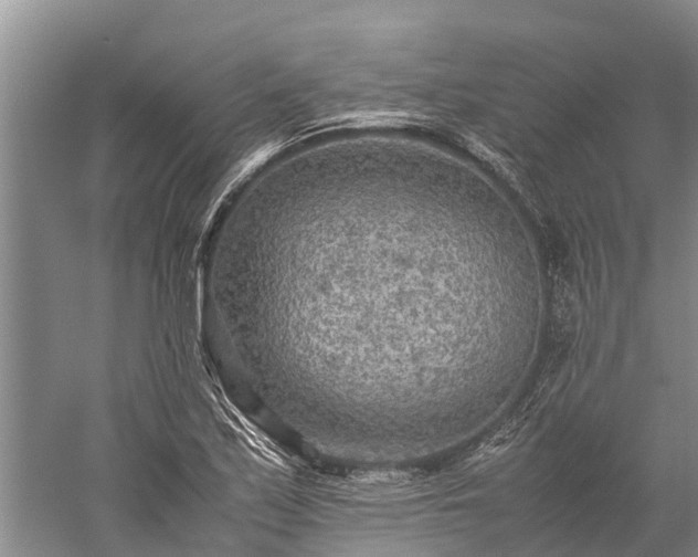 X0000059231171200510211528