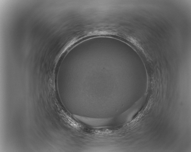 X0000059231173200510211528