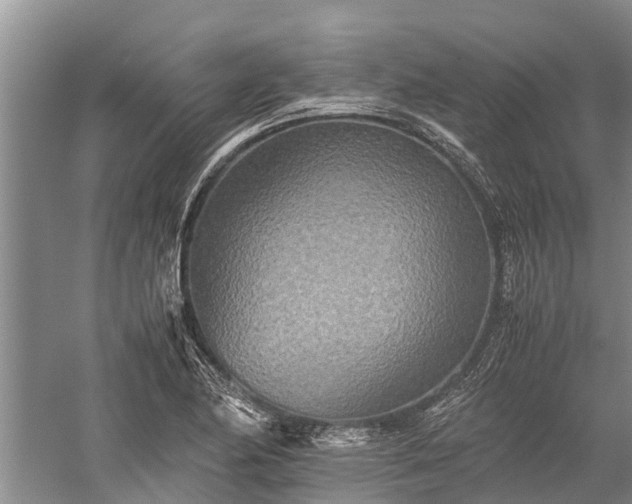 X0000059231174200510211528