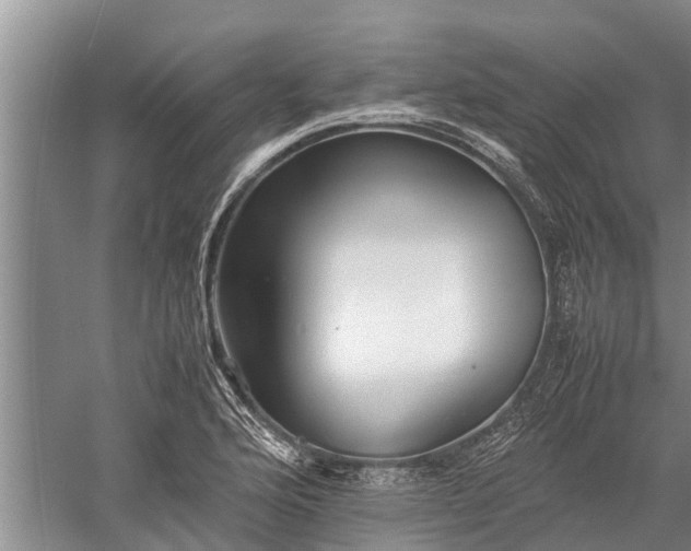 X0000059231176200510211528