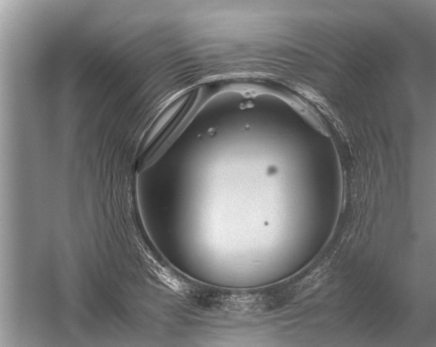 X0000059231177200510211528