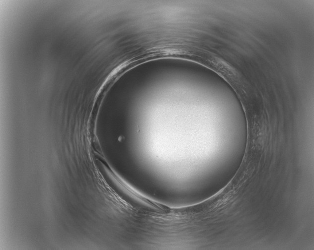 X0000059231182200510211528