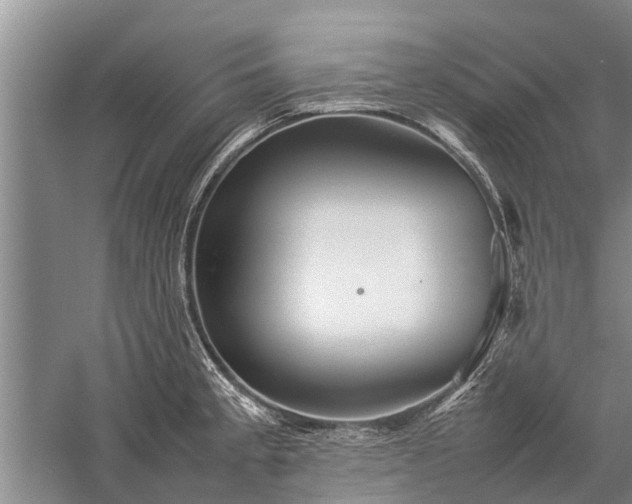 X0000059231189200510211528