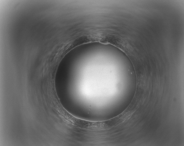 X0000059231201200510211527