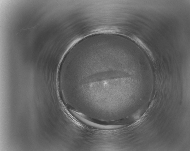 X0000059231240200510211528