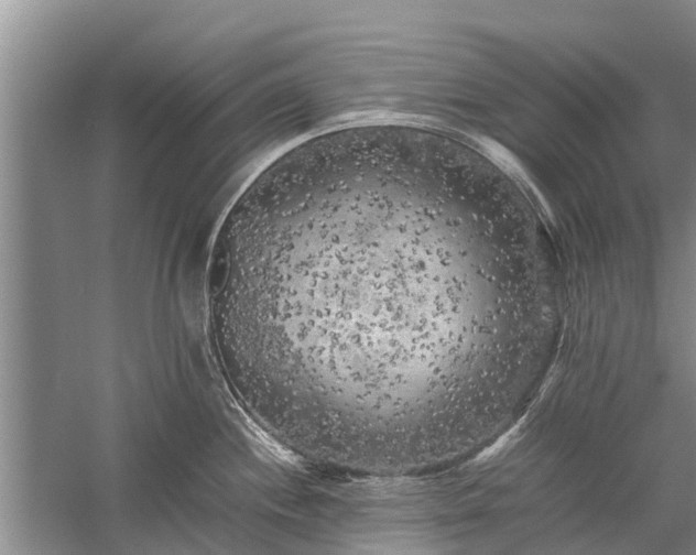 X0000059231244200510211528