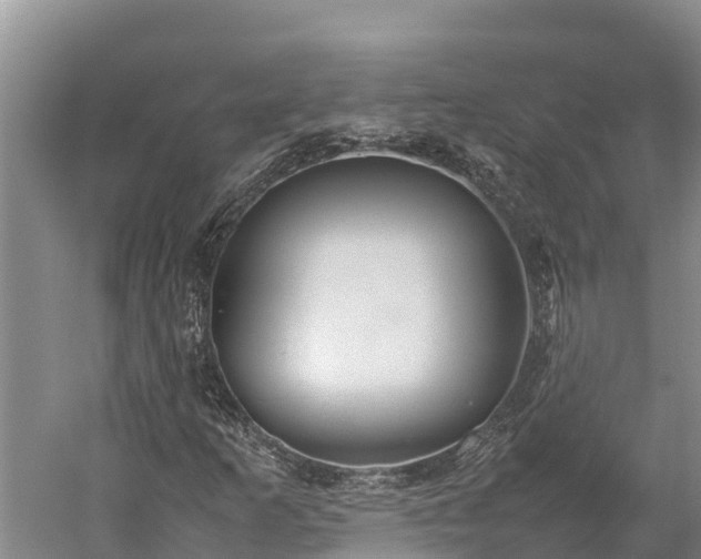 X0000059231253200510211527