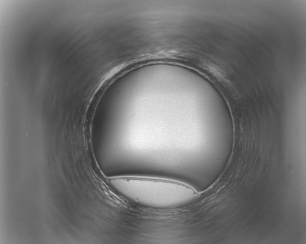 X0000059231308200510211525