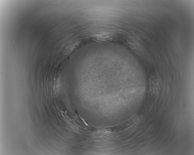 X0000059231346200510211525