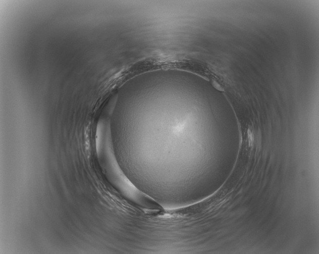 X0000059231348200510211525