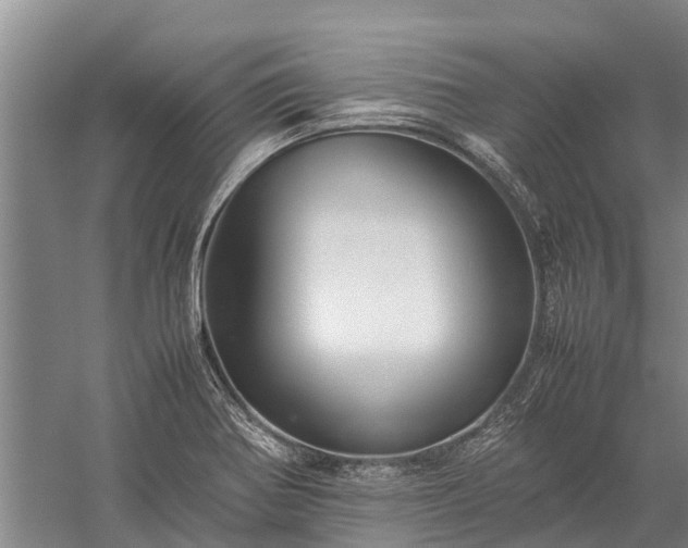 X0000059231370200510211525