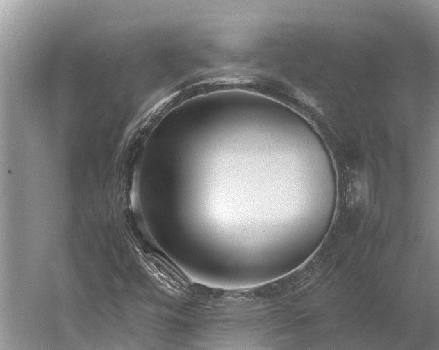 X0000059231448200510211523