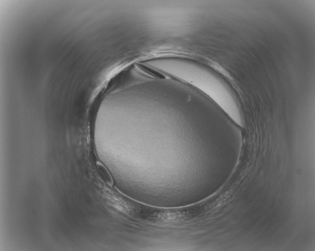 X0000059231461200510211523