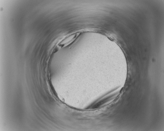 X0000059230001200510281917