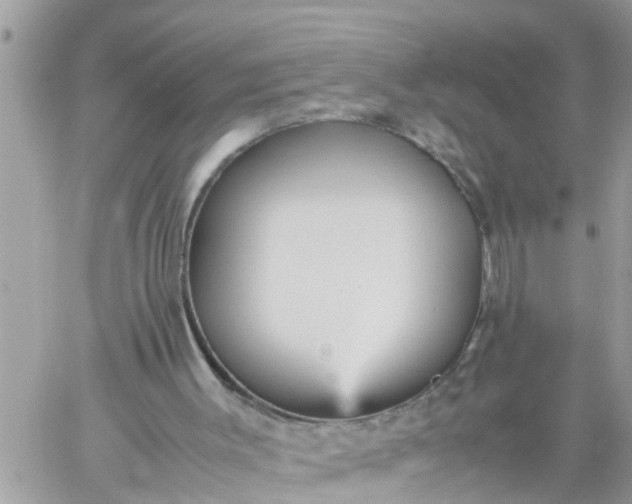 X0000059230003200510281917