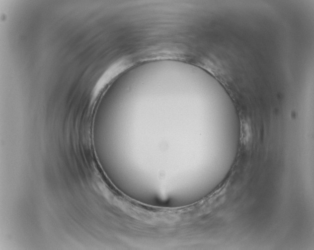 X0000059230004200510281917