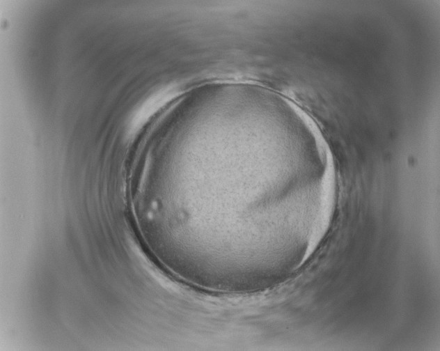 X0000059230005200510281917