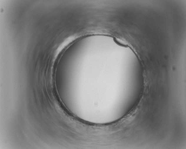 X0000059230008200510281917