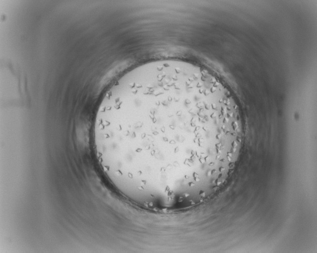 X0000059230010200510281917