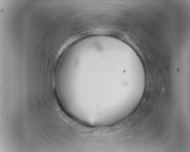 X0000059230011200510281917