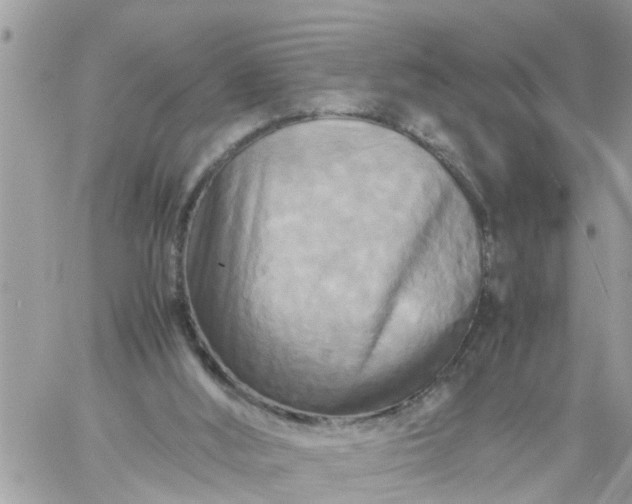 X0000059230012200510281917