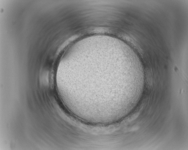 X0000059230016200510281917