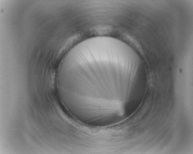 X0000059230018200510281917