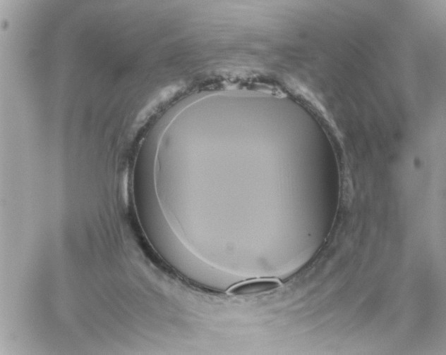 X0000059230019200510281917