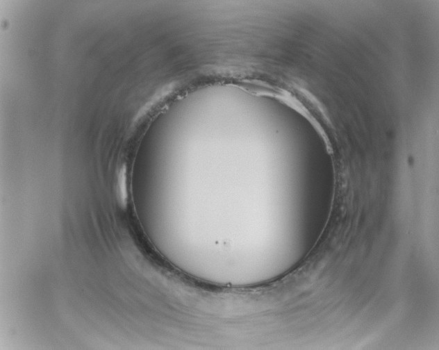 X0000059230020200510281917