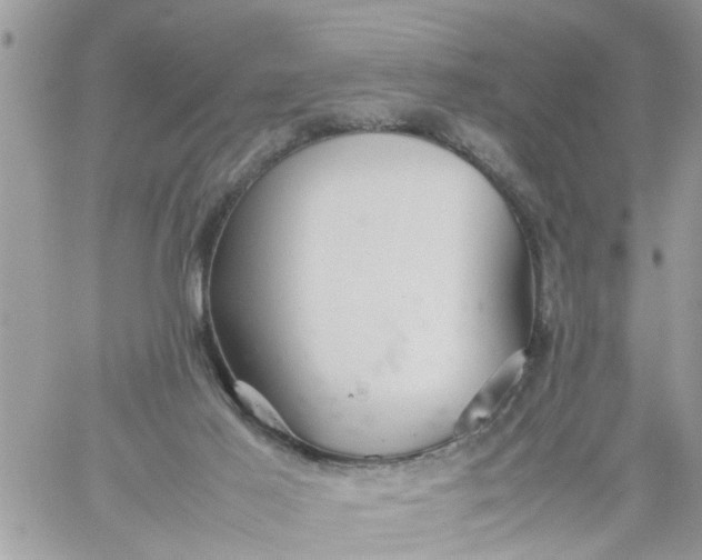 X0000059230021200510281917