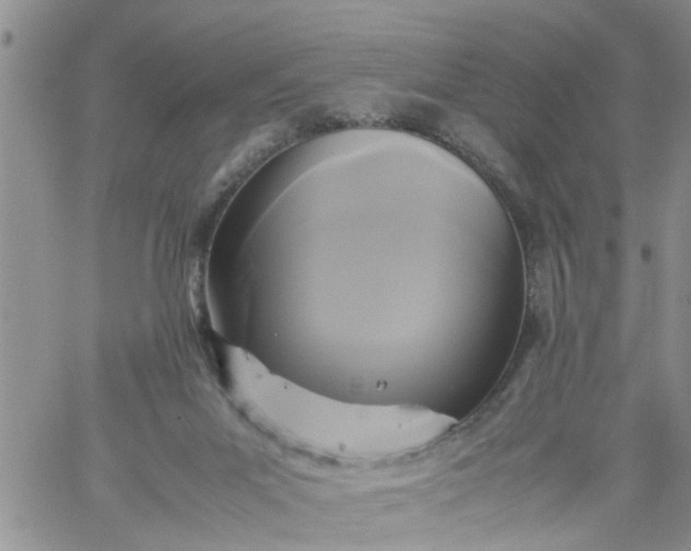 X0000059230023200510281917