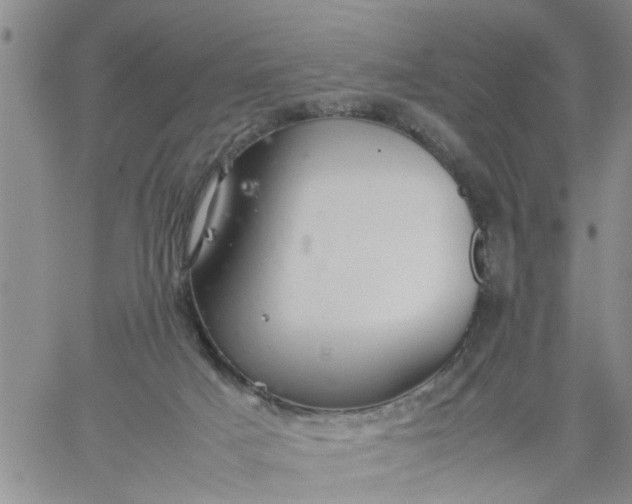 X0000059230025200510281917