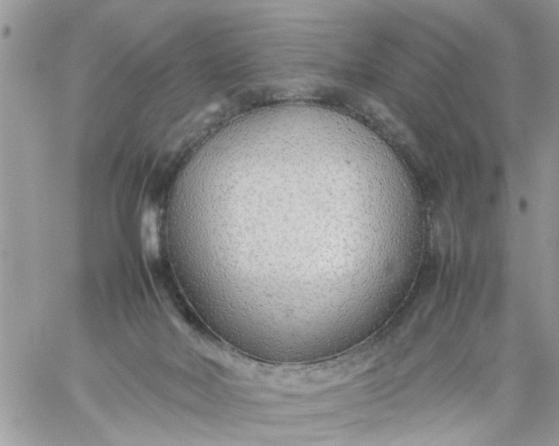 X0000059230026200510281917