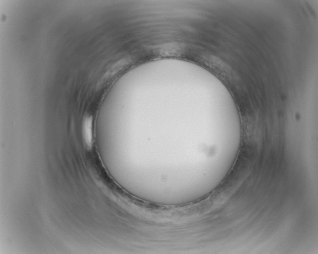 X0000059230028200510281917