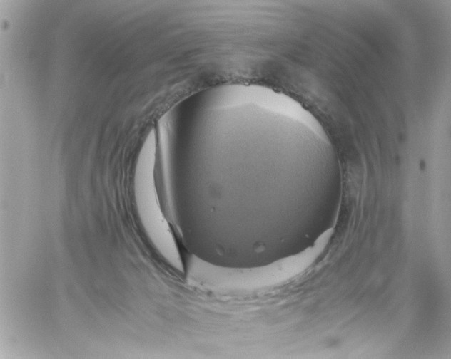 X0000059230029200510281917