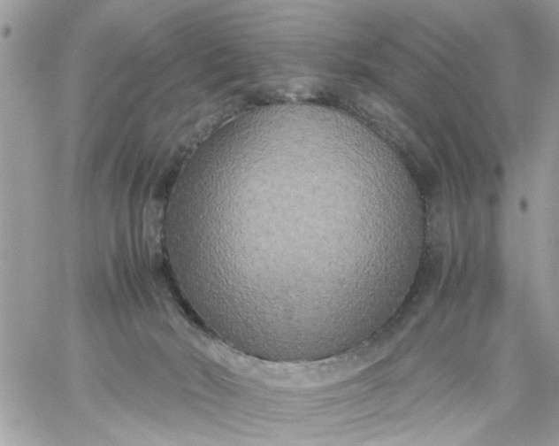 X0000059230030200510281917