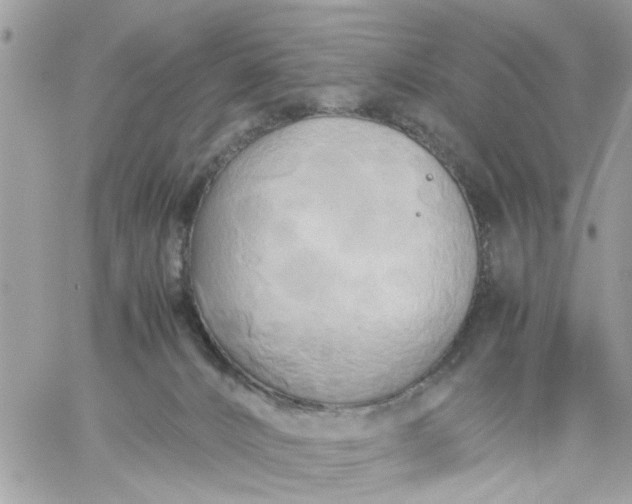 X0000059230032200510281916