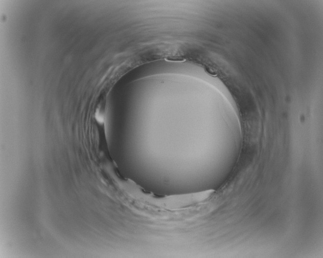 X0000059230035200510281916